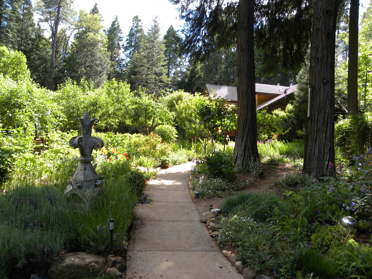 Lodge Harmony Ridge *